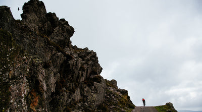 Why We Became Members of 1% for the Planet