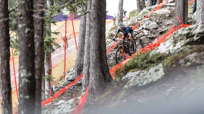 Wayside: Anna Yamauchi