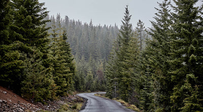 Reckoning: Maximum Heart Rate