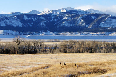 On Balance and Conservation: Profiling Serena Bishop Gordon