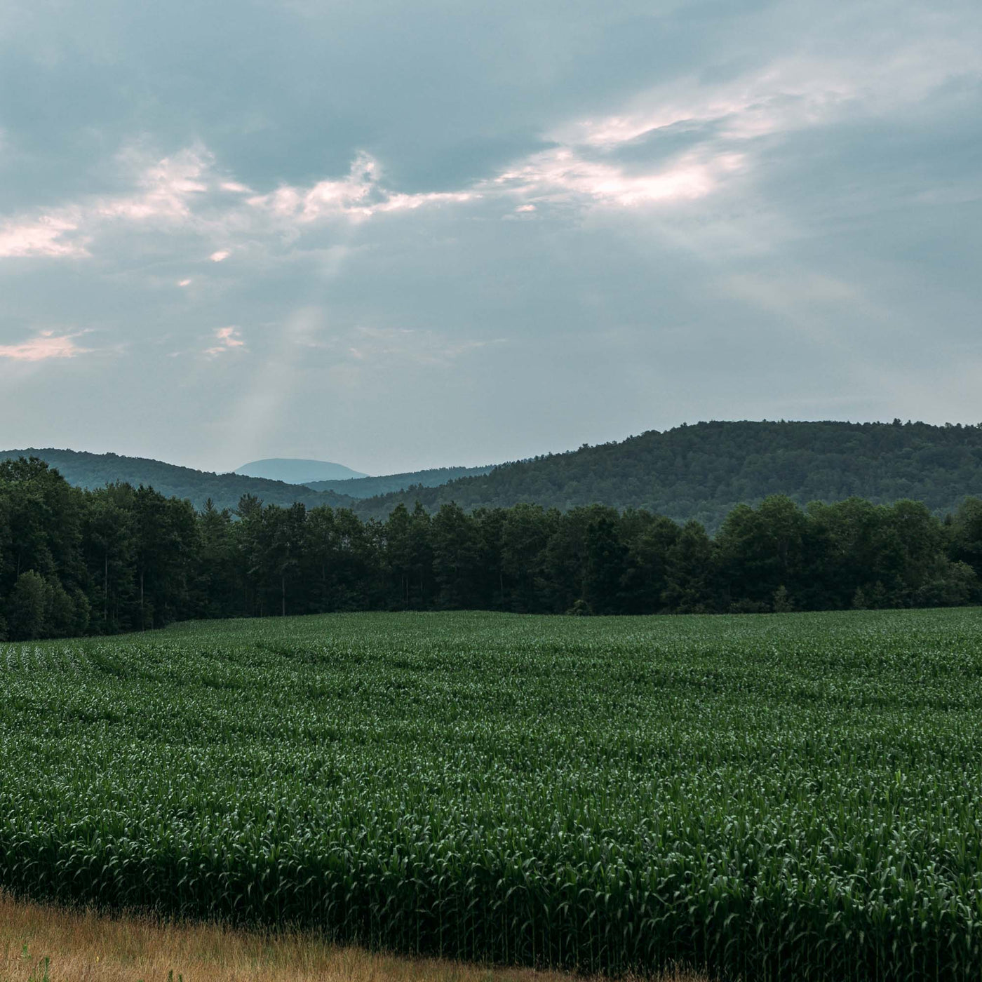 Coast to Coast | September 9