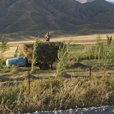 right promotion image